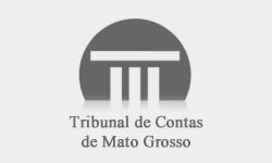 TCE-MT